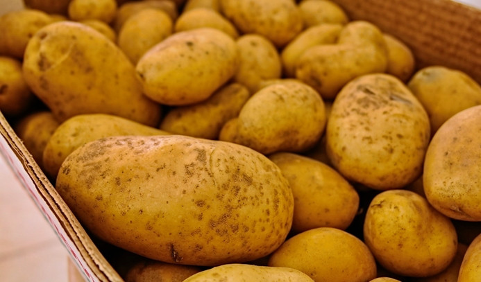 Patates üreticisi acil pazar arıyor