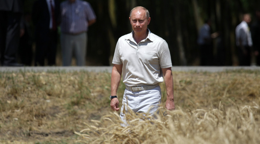 Türkiye Rus buğdayını yasakladı