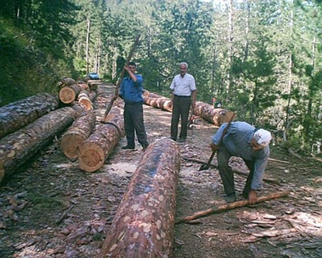2-B çalışmaları hız kazandı