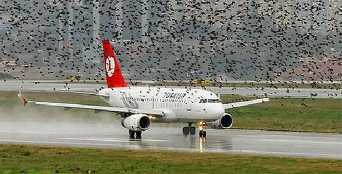 Uçaklar için kuş tehlikesini bitirecek buluş