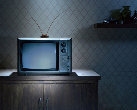 1190 radyo ve TV yayın yapıyor