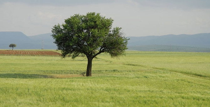 KOP bölgesi "bilişim vadisi" olma yolunda