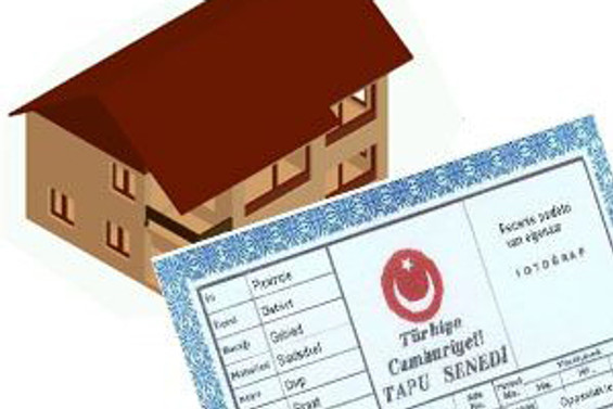 Türkiye'de tapular erkeklerde