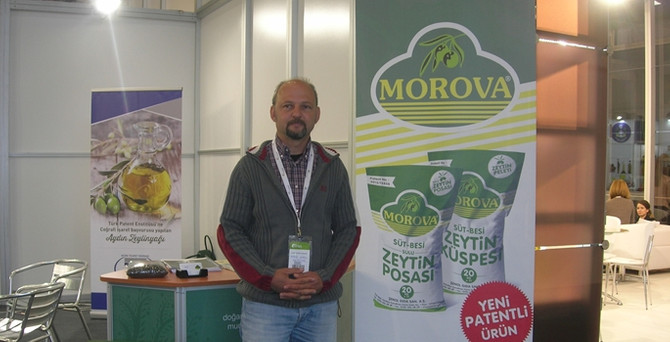 Morova, zeytinden yem yaptı Kuveyt'e ihraç ediyor