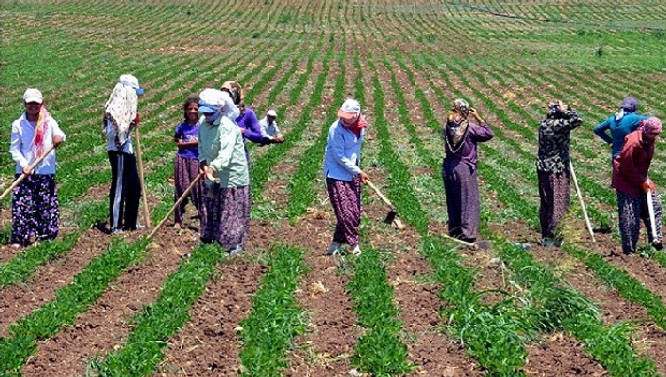 Çalışanların 3'te biri kayıt dışı