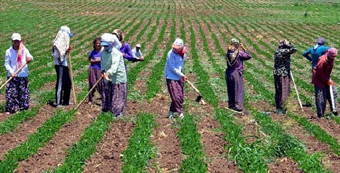 SGK: Her 3 çalışandan biri kayıt dışı