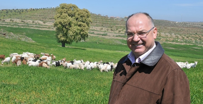 Tüketici oğlak etini yeniden keşfediyor