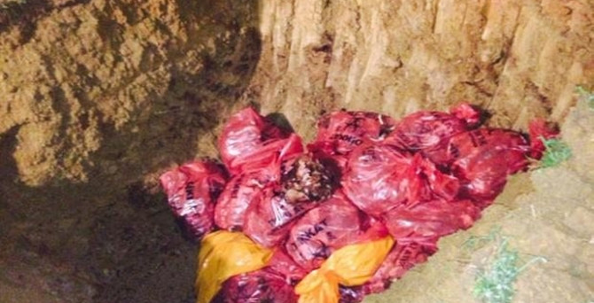 Gebze'de kuş gribi alarmı: 10 bin tavuk itlaf edildi!