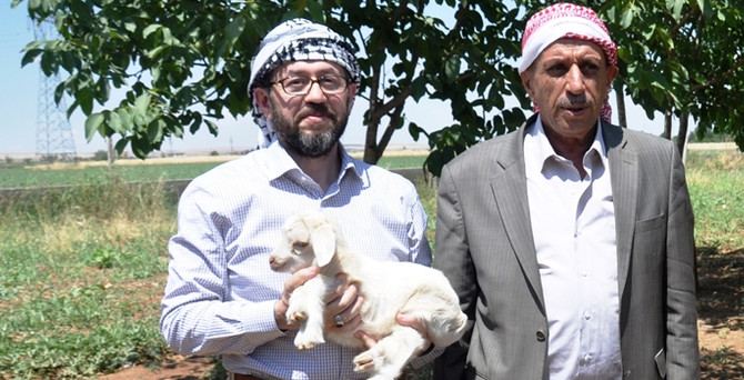 Sadeyağını Urfa’daki 4 bin köylü üretiyor