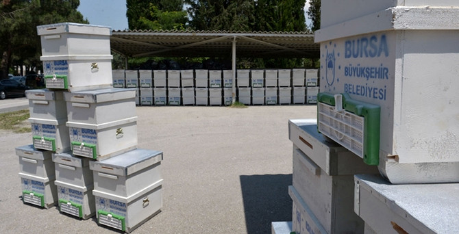 Kırsal kalkınmayla köyden kente göçü bitirecek