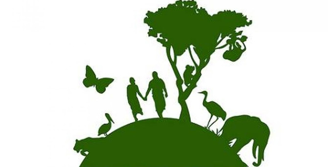 Greenpeace Türkiye'den enerji (D)evrimi için yol haritası