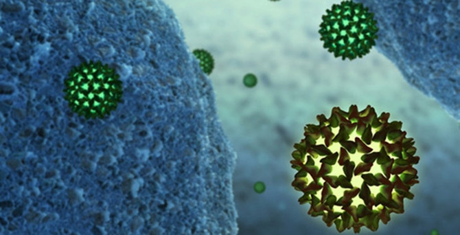 Türkiye'de 3,5 milyon kişi hepatitli