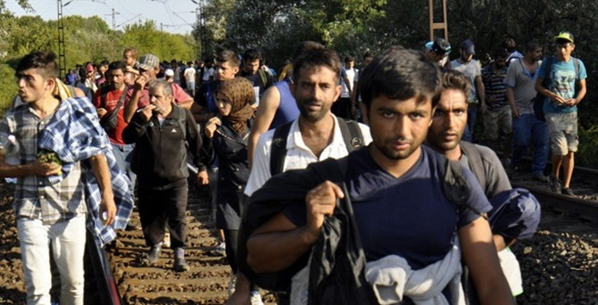 3 bin sığınmacı Viyana'ya geçti