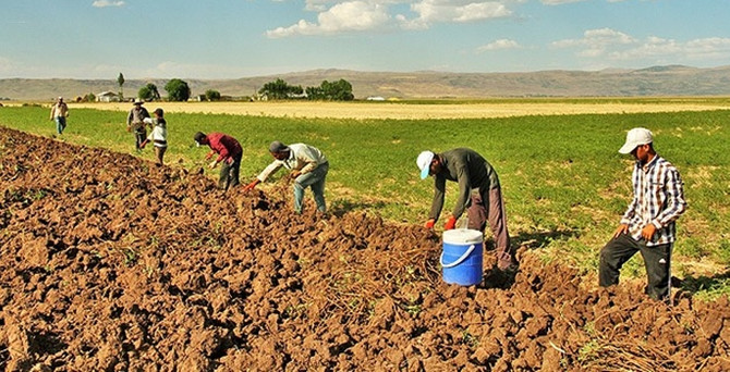 MARDÄ°N GEÃ‡Ä°M KAYNAKLARI ile ilgili gÃ¶rsel sonucu