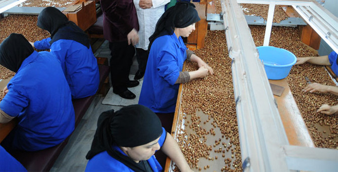Türkiye 240 bin ton fındık ihracat etti