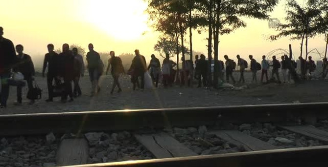 Avrupa'da sayıları yarım milyonu geçti