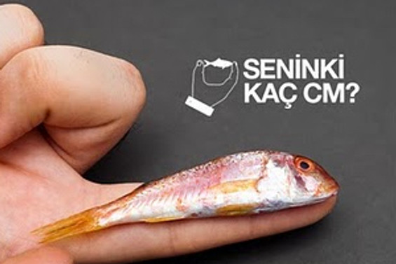 'Seninki kaç santim?'e 420 bin imza