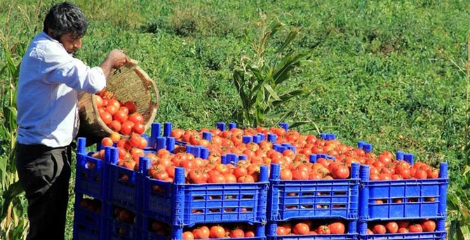 Rusya'dan Türk gıda ürünlerine sıkı denetim