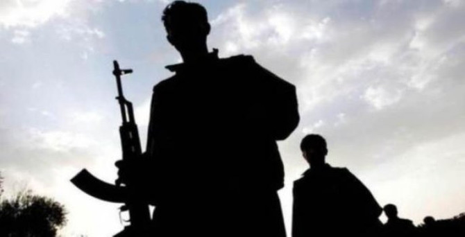Cizre'de kaymakan koruması kaçırıldı