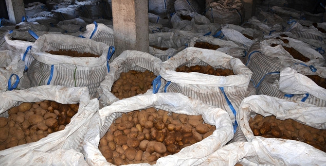 Tonlarca patates depoda kaldı