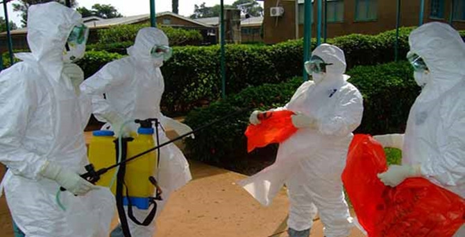 Ebola tarımı olumsuz etkiledi