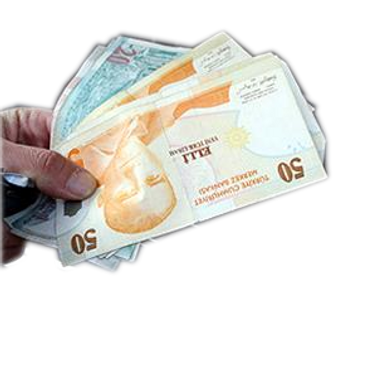 TL'nin uluslararası ödemelerdeki payı artıyor