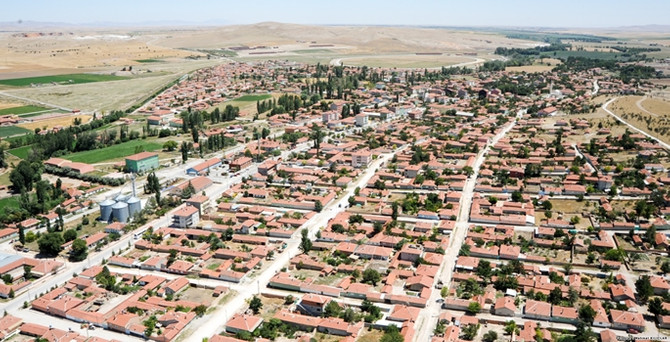 Mahmudiye jeotermal sera ihtisas bölgesi olmaya talip