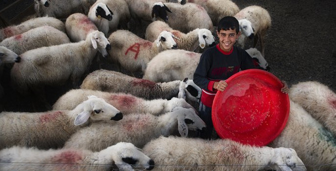 7. Tarım ve İnsan Fotoğraf Yarışması sonuçlandı