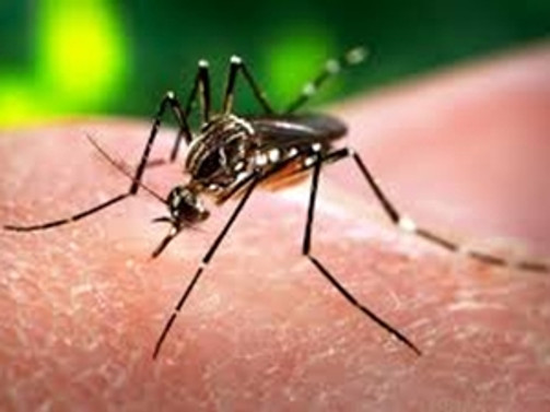 Bakanlıktan 'zika virüsü' uyarısı