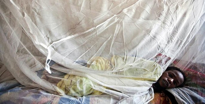 Nijerya'da 'Lassa sıtması' salgını: 40 ölü