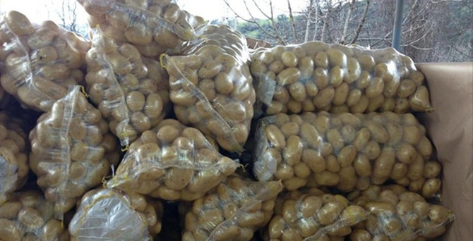 Habur'un açılması patates üreticisini sevindirdi