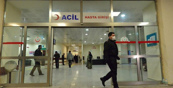 Domuz gribi bir can daha aldı