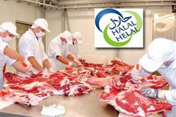 6 bin çeşit helal ürün İstanbul Helal Expo'da