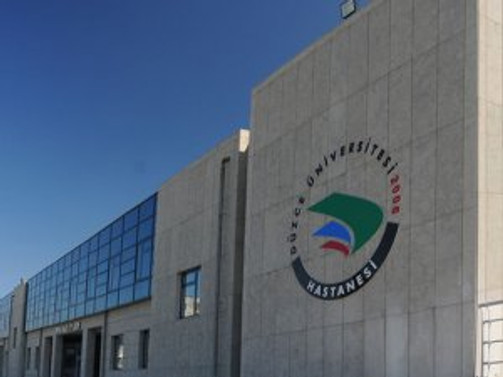 Düzce'de domuz gribi salgını