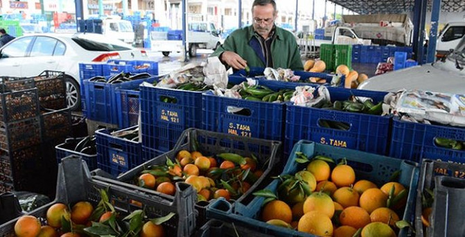 Yaş meyve sebze ihracatında yeni adres: Orta Asya ve Uzakdoğu