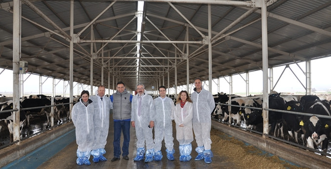 Sıkıntıdaki hayvancılığa Yeni Zelanda’dan işbirliği teklifi
