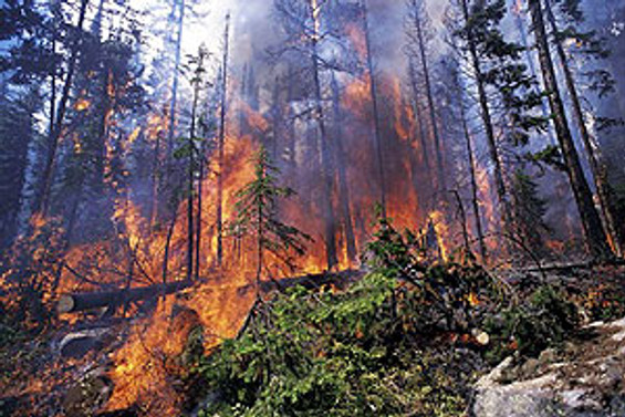 Izmir De Orman Yangini Gundem Haberleri
