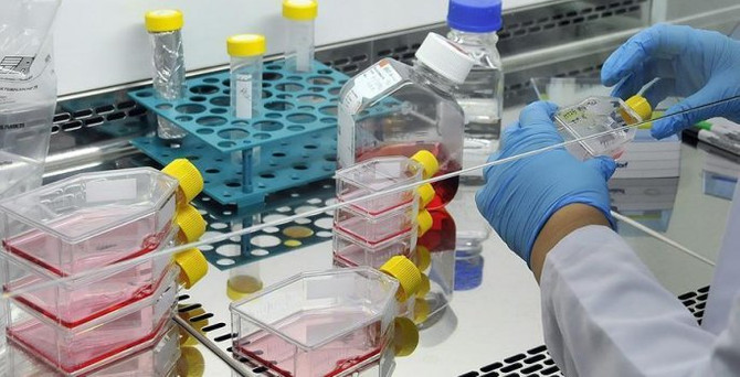 Sinir hücreleri kontrolüyle hastalıklar iyileştirilecek
