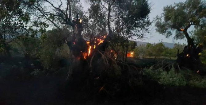 İzmir'de korkutan yangın