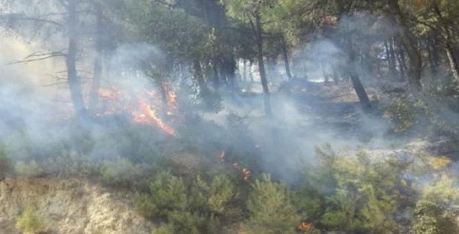 Keşan’da orman yangını