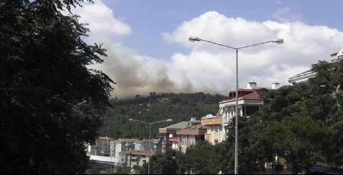 İstanbul'da orman yangını