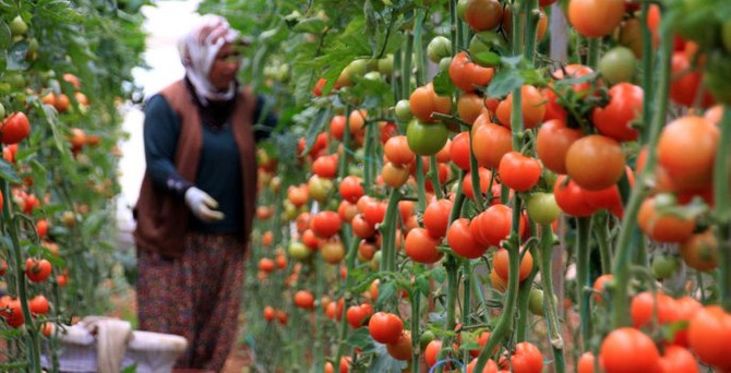 Afet mağduru çiftçiye borç düzenlemesi