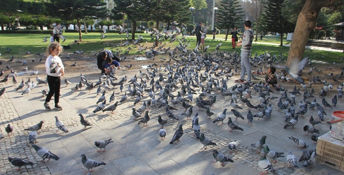 Sıcaklıklar düşüyor