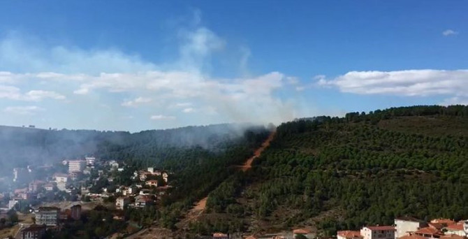 Maltepe'de orman yangını