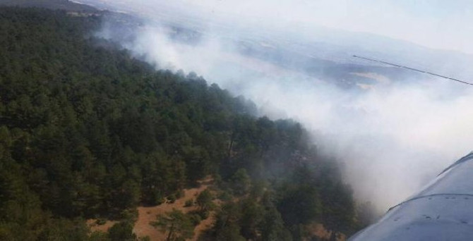 Çanakkale'de orman yangını