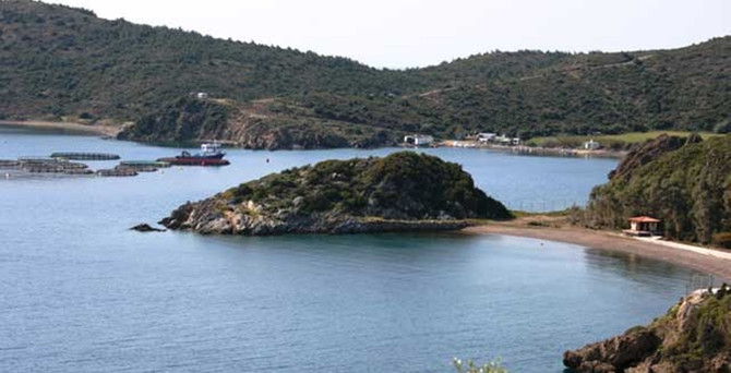 İzmir Yarımadası’nı imara açacak karar mahkemeye taşınıyor