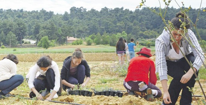 Öğrencilere lavanta kokulu burs geliyor