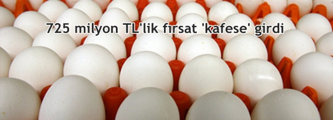 725 milyon TL'lik fırsat 'kafese' girdi