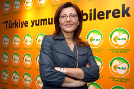 Yumurtaya 2009'dan sonra yeni standart