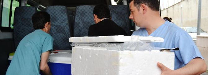 11 aylık bebeğin organları 3 çocuğa nakledilecek